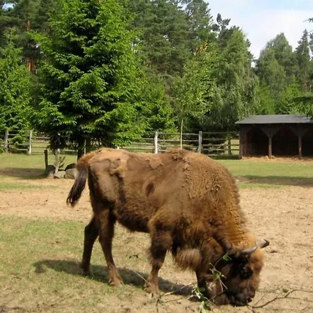 Serewia Holiday home